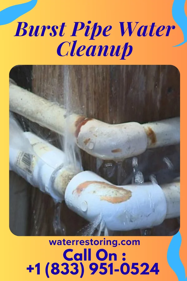 Burst Pipe Water Cleanup in Peru, IL