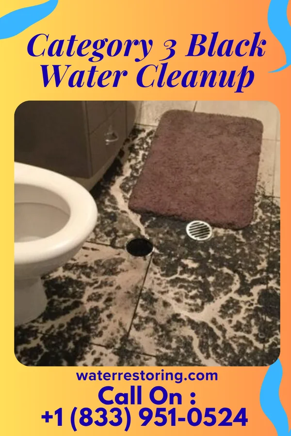 Category 3 Black Water Cleanup in Peru, IL