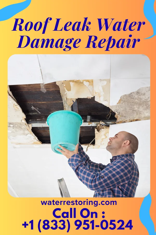 Roof Leak Water Damage Repair in Peru, IL